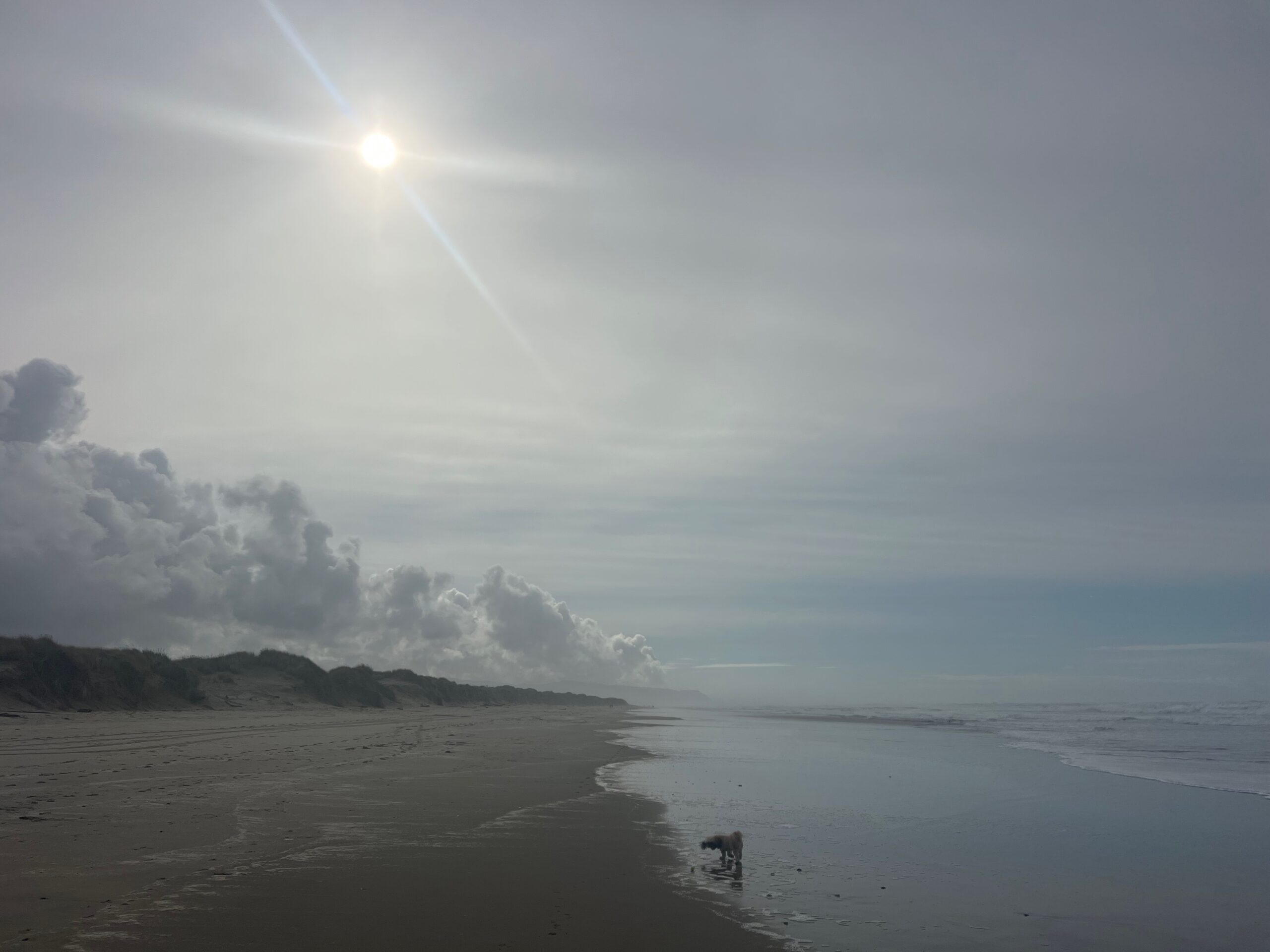 Oregon-cost-Being-on-one