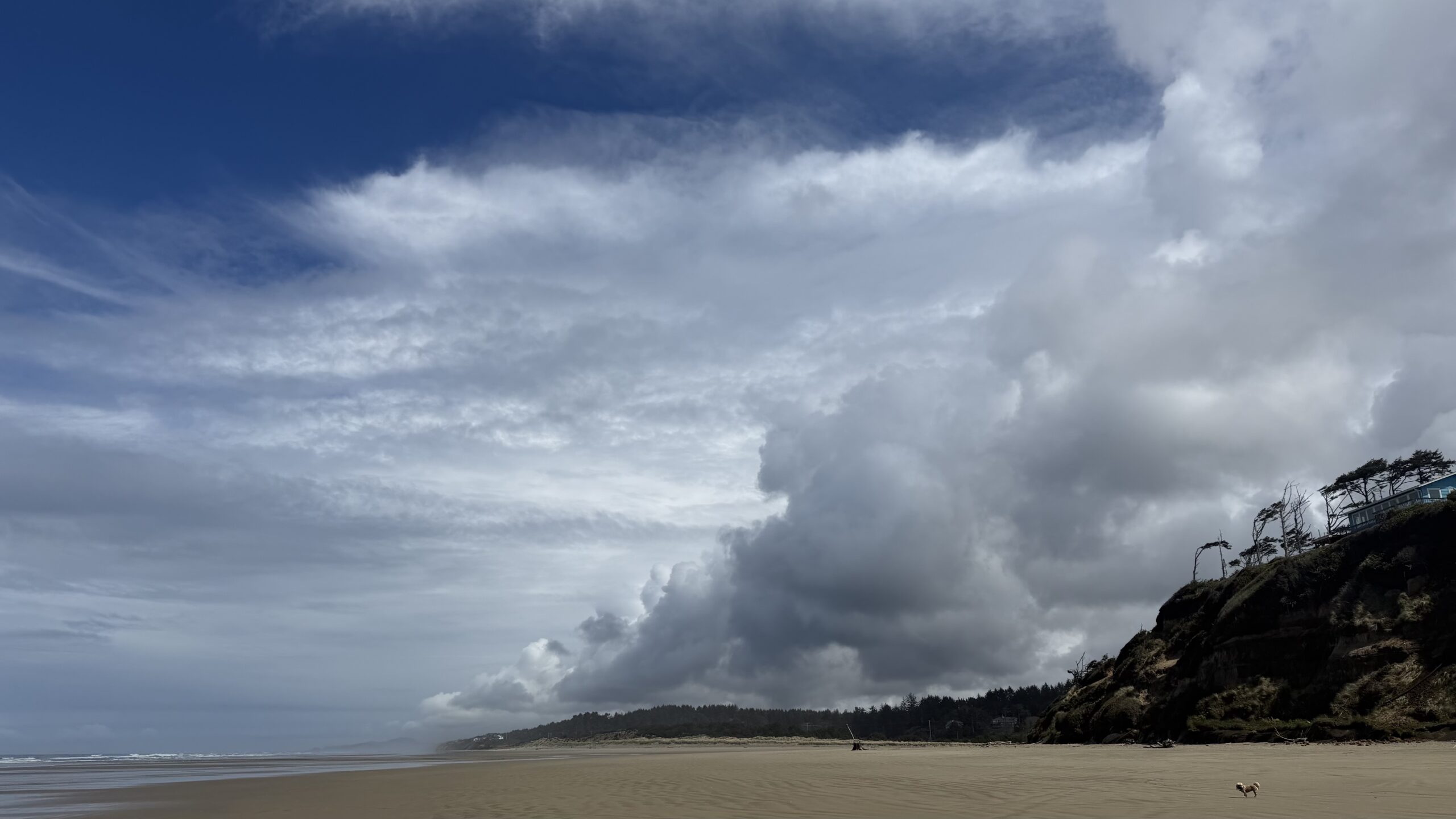 Oregon coast beach with dramatic clouds and open shoreline near Waldport